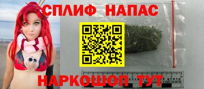 стаф Моздок