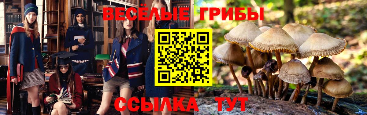 Орехово-Зуево  Галлюциногенные грибы мухоморы  Вход с VPN 